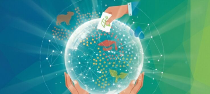 Eleição da Coordenação e Coordenação-Adjunta da Rede UniSustentável – Biênio 2025–2027
