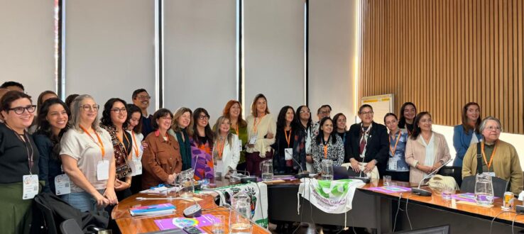 Rede UniSustentável participa do Fórum da CEPAL e reforça articulação regional em torno dos ODS no âmbito da Agenda Comum 2026